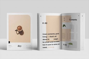 40+ Best InDesign Templates 2023 (For Brochures, Flyers, Books & More)