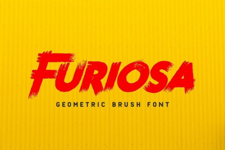 View Information about Furiosa Font