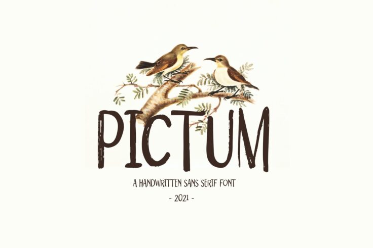 View Information about Pictum Font