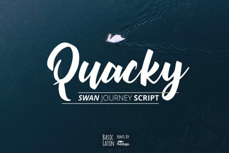 View Information about Quacky Font