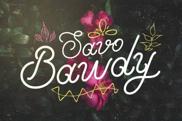 View Information about Savo Bawdy Typeface