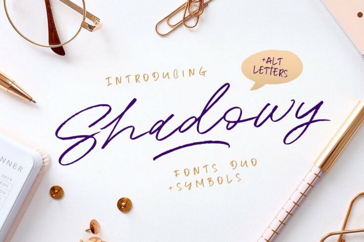 View Information about Shadowy Script Font